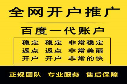 高效SEM托管公司案例对比分析